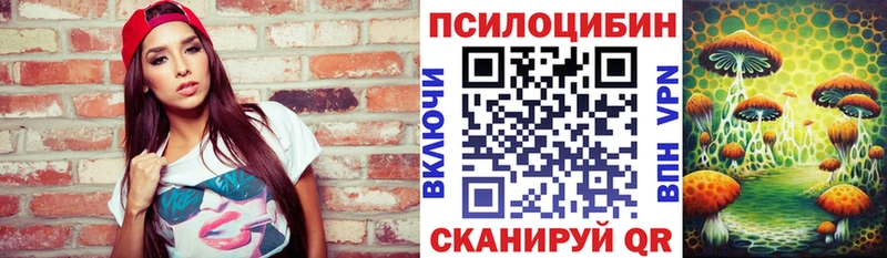 Купить где  Злынка  Галлюциногенные грибы Psilocybine cubensis 